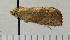  ( - ASTOR-11-0220)  @12 [ ] Unspecified (default): All Rights Reserved  Unspecified Unspecified