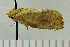  ( - ASTOR-11-0222)  @12 [ ] Unspecified (default): All Rights Reserved  Unspecified Unspecified