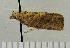  ( - ASTOR-11-0223)  @12 [ ] Unspecified (default): All Rights Reserved  Unspecified Unspecified