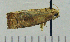  ( - ASTOR-11-0224)  @12 [ ] Unspecified (default): All Rights Reserved  Unspecified Unspecified