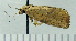  ( - ASTOR-11-0226)  @12 [ ] Unspecified (default): All Rights Reserved  Unspecified Unspecified