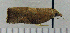  ( - ASTOR-11-0227)  @12 [ ] Unspecified (default): All Rights Reserved  Unspecified Unspecified