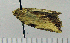 ( - ASTOR-11-0235)  @12 [ ] Unspecified (default): All Rights Reserved  Unspecified Unspecified