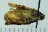  ( - ASTOR-11-0236)  @11 [ ] Unspecified (default): All Rights Reserved  Unspecified Unspecified