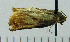 ( - ASTOR-11-0238)  @11 [ ] Unspecified (default): All Rights Reserved  Unspecified Unspecified
