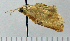  ( - ASTOR-11-0239)  @12 [ ] Unspecified (default): All Rights Reserved  Unspecified Unspecified