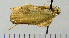  ( - ASTOR-11-0240)  @12 [ ] Unspecified (default): All Rights Reserved  Unspecified Unspecified