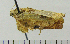  ( - ASTOR-11-0241)  @12 [ ] Unspecified (default): All Rights Reserved  Unspecified Unspecified