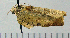  ( - ASTOR-11-0242)  @12 [ ] Unspecified (default): All Rights Reserved  Unspecified Unspecified