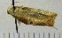  ( - ASTOR-11-0243)  @12 [ ] Unspecified (default): All Rights Reserved  Unspecified Unspecified