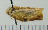  ( - ASTOR-11-0244)  @12 [ ] Unspecified (default): All Rights Reserved  Unspecified Unspecified