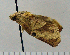  ( - ASTOR-11-0246)  @12 [ ] Unspecified (default): All Rights Reserved  Unspecified Unspecified