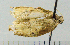  ( - ASTOR-11-0247)  @12 [ ] Unspecified (default): All Rights Reserved  Unspecified Unspecified