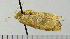  ( - ASTOR-11-0249)  @12 [ ] Unspecified (default): All Rights Reserved  Unspecified Unspecified