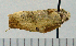  ( - ASTOR-11-0250)  @12 [ ] Unspecified (default): All Rights Reserved  Unspecified Unspecified