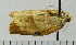  ( - ASTOR-11-0251)  @12 [ ] Unspecified (default): All Rights Reserved  Unspecified Unspecified