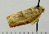  ( - ASTOR-11-0253)  @12 [ ] Unspecified (default): All Rights Reserved  Unspecified Unspecified
