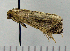  ( - ASTOR-11-0286)  @12 [ ] Unspecified (default): All Rights Reserved  Unspecified Unspecified