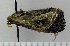  ( - ASTOR-11-0288)  @12 [ ] Unspecified (default): All Rights Reserved  Unspecified Unspecified