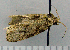 ( - ASTOR-11-0289)  @11 [ ] Unspecified (default): All Rights Reserved  Unspecified Unspecified