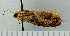  ( - ASTOR-11-0292)  @12 [ ] Unspecified (default): All Rights Reserved  Unspecified Unspecified