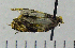  ( - ASTOR-11-0316)  @12 [ ] Unspecified (default): All Rights Reserved  Unspecified Unspecified