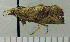  ( - ASTOR-11-0323)  @12 [ ] Unspecified (default): All Rights Reserved  Unspecified Unspecified