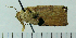  ( - ASTOR-11-0324)  @12 [ ] Unspecified (default): All Rights Reserved  Unspecified Unspecified