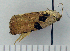  ( - ASTOR-11-0325)  @12 [ ] Unspecified (default): All Rights Reserved  Unspecified Unspecified