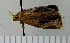  ( - ASTOR-11-0327)  @12 [ ] Unspecified (default): All Rights Reserved  Unspecified Unspecified