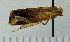  ( - ASTOR-11-0329)  @12 [ ] Unspecified (default): All Rights Reserved  Unspecified Unspecified