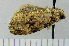  ( - ASTOR-11-0348)  @12 [ ] Unspecified (default): All Rights Reserved  Unspecified Unspecified