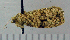 ( - ASTOR-11-0352)  @11 [ ] Unspecified (default): All Rights Reserved  Unspecified Unspecified