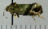  ( - ASTOR-11-0372)  @12 [ ] Unspecified (default): All Rights Reserved  Unspecified Unspecified
