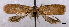  ( - ASTOR-11-0388)  @12 [ ] Unspecified (default): All Rights Reserved  Unspecified Unspecified