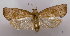  ( - ASTOR-11-0406)  @13 [ ] Unspecified (default): All Rights Reserved  Unspecified Unspecified