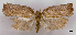  ( - ASTOR-11-0407)  @12 [ ] Unspecified (default): All Rights Reserved  Unspecified Unspecified