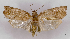  ( - ASTOR-11-0408)  @11 [ ] Unspecified (default): All Rights Reserved  Unspecified Unspecified