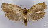  ( - ASTOR-11-0415)  @13 [ ] Unspecified (default): All Rights Reserved  Unspecified Unspecified