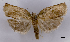  ( - ASTOR-11-0417)  @13 [ ] Unspecified (default): All Rights Reserved  Unspecified Unspecified