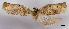  ( - ASTOR-11-0419)  @12 [ ] Unspecified (default): All Rights Reserved  Unspecified Unspecified