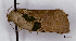  ( - ASTOR-11-0421)  @12 [ ] Unspecified (default): All Rights Reserved  Unspecified Unspecified