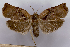  ( - ASTOR-11-0422)  @11 [ ] Unspecified (default): All Rights Reserved  Unspecified Unspecified