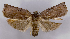  ( - ASTOR-11-0424)  @12 [ ] Unspecified (default): All Rights Reserved  Unspecified Unspecified