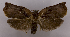  ( - ASTOR-11-0426)  @12 [ ] Unspecified (default): All Rights Reserved  Unspecified Unspecified
