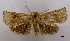  ( - ASTOR-11-0431)  @11 [ ] Unspecified (default): All Rights Reserved  Unspecified Unspecified