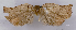  ( - ASTOR-11-0432)  @11 [ ] Unspecified (default): All Rights Reserved  Unspecified Unspecified