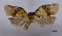  ( - ASTOR-11-0465)  @11 [ ] Unspecified (default): All Rights Reserved  Unspecified Unspecified