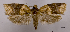  ( - ASTOR-11-0466)  @12 [ ] Unspecified (default): All Rights Reserved  Unspecified Unspecified