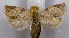  ( - ASTOR-11-0487)  @12 [ ] Unspecified (default): All Rights Reserved  Unspecified Unspecified